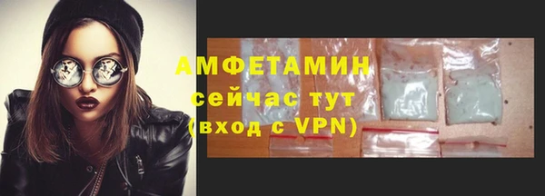 ешки Аркадак