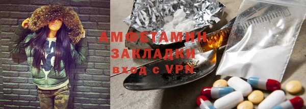 молекула духа Арсеньев