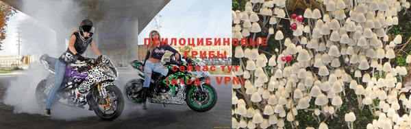 молекула духа Арсеньев