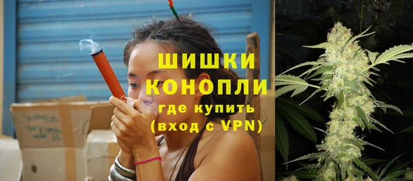 ешки Аркадак