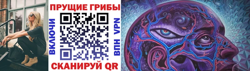 Псилоцибиновые грибы GOLDEN TEACHER  Саяногорск 